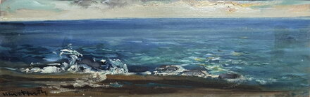 VLNY TŘÍŠTÍCÍ SE O BŘEH - STEHLÍK KAREL