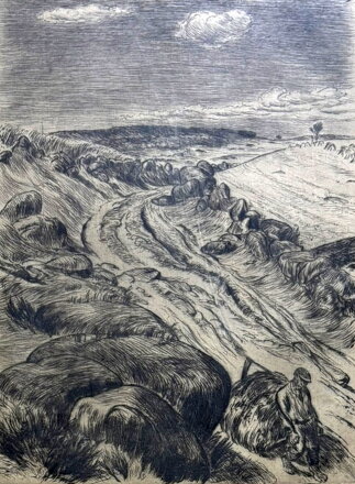 NA SENÁCH KAMENITOU CESTOU - ŠTIKA KAREL