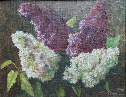 ŠEŘÍKY - ŠTROBL JOSEF