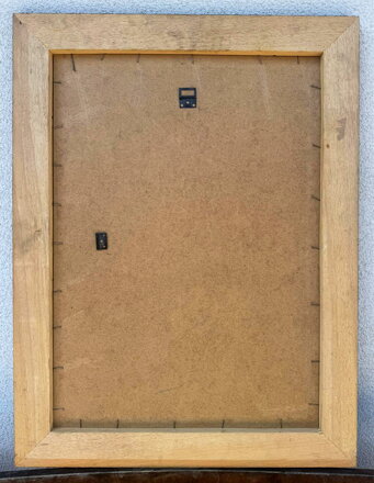 KYTICE MODRÝCH A FIALOVÝCH KVĚTŮ - ŠUSTR ANTONÍN