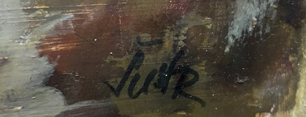 VES NA KOPCI - ŠUSTR ANTONÍN