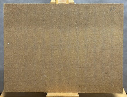 VES NA KOPCI - ŠUSTR ANTONÍN