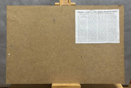 ZIMA ZA VESNICÍ - ŠUSTR ANTONÍN