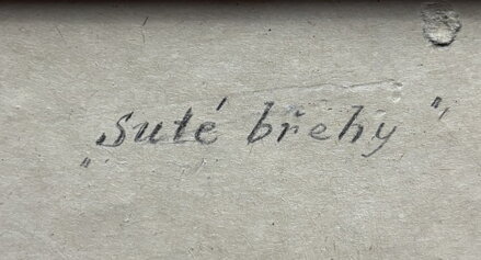 SUTÉ BŘEHY - NEZNÁMÝ AUTOR