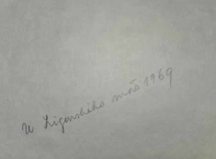 LIGURSKÉ MOŘE - ŠVADLENKA BOHUSLAV