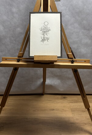 MOŘSKÝ KORÁB - ŠVENGSBÍR JIŘÍ