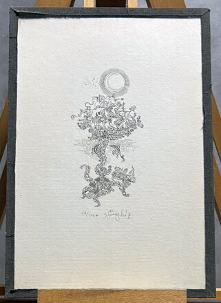 MOŘSKÝ KORÁB - ŠVENGSBÍR JIŘÍ