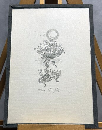 MOŘSKÝ KORÁB - ŠVENGSBÍR JIŘÍ