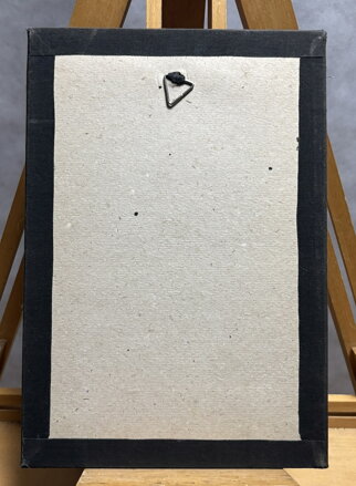 MOŘSKÝ KORÁB - ŠVENGSBÍR JIŘÍ