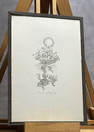 MOŘSKÝ KORÁB - ŠVENGSBÍR JIŘÍ