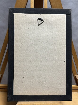 PRAHA VYŠEHRAD ROTUNDA SV. MARTINA - ŠVENGSBÍR JIŘÍ