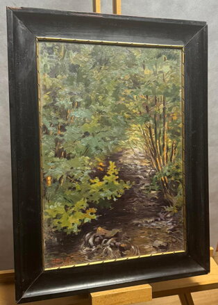 ZAROSTLÝ POTOK - SVĚTLÍK EDUARD