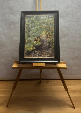 ZAROSTLÝ POTOK - SVĚTLÍK EDUARD