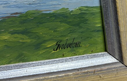 BROD ZA VSÍ - SVOBODOVÁ