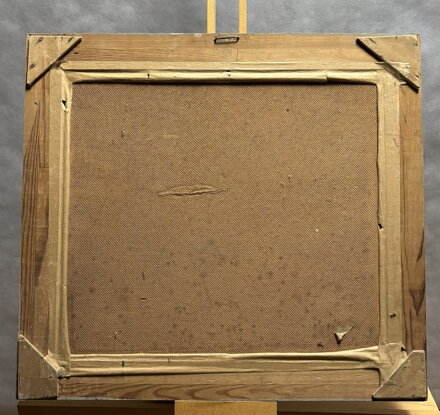 BROD ZA VSÍ - SVOBODOVÁ