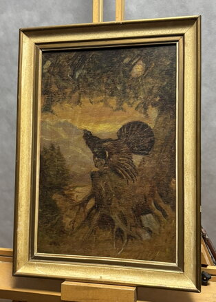 TOKAJÍCÍ TETŘEV - NEZNÁMÝ AUTOR