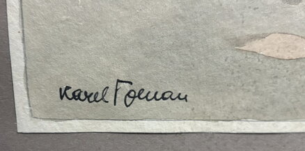 ROUBENKA V KRAJINĚ MEZI STROMY - TOMAN KAREL