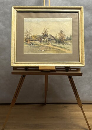 ROUBENKA V KRAJINĚ MEZI STROMY - TOMAN KAREL