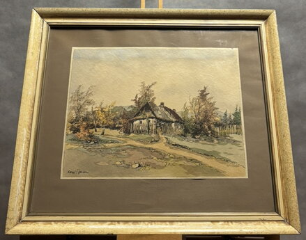 ROUBENKA V KRAJINĚ MEZI STROMY - TOMAN KAREL