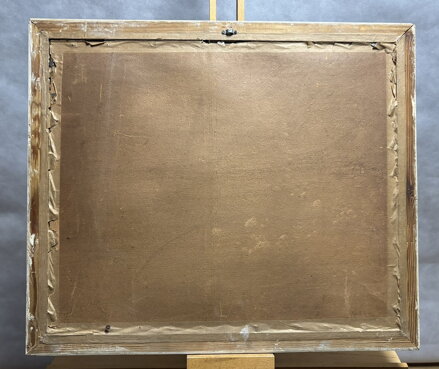 ROUBENKA V KRAJINĚ MEZI STROMY - TOMAN KAREL