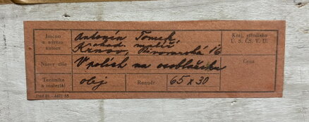 V POLÍCH NA OSOBLAŽSKU - TOMEK ANTONÍN