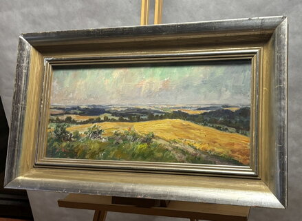 V POLÍCH NA OSOBLAŽSKU - TOMEK ANTONÍN