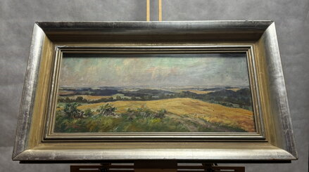 V POLÍCH NA OSOBLAŽSKU - TOMEK ANTONÍN