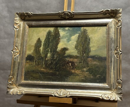 U BRODU - ULŠMÍD VÁCLAV F.