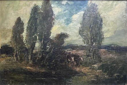 U BRODU - ULŠMÍD VÁCLAV F.