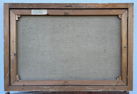 JARO POD JEŠTĚDEM - VACKE JOSEF