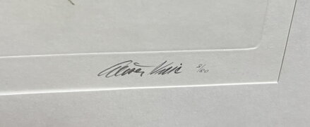 DIVOČÁK - VAIC ALEŠA