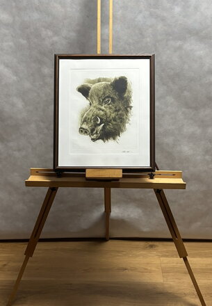 DIVOČÁK - VAIC ALEŠA