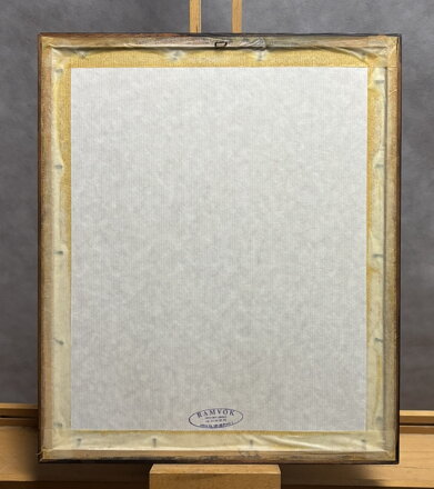 DIVOČÁK - VAIC ALEŠA