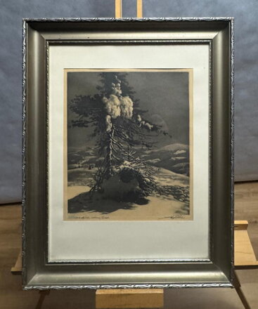 KRKONOŠE VÝROVKA - VAIC JOSEF