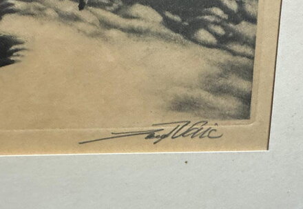 KRKONOŠE VÝROVKA - VAIC JOSEF