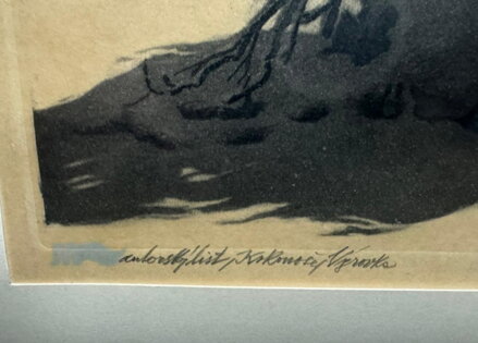 KRKONOŠE VÝROVKA - VAIC JOSEF