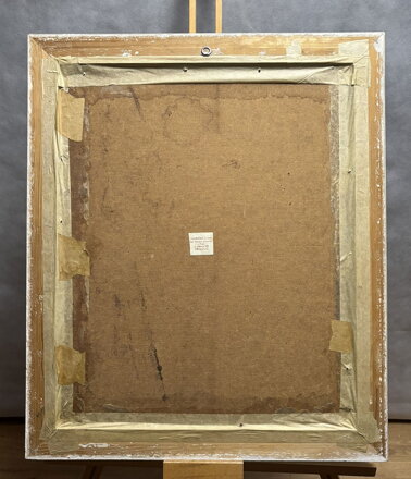 VLČÍ MÁKY A KOPRETINY - VAVREČKA ZDENĚK