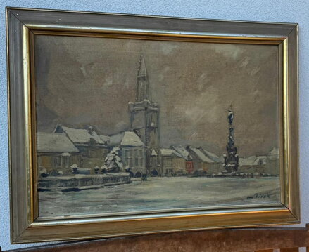 ZASNĚŽENÁ KADAŇ - VÍŠEK JAN