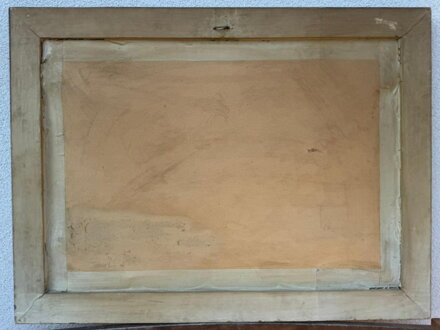 ZASNĚŽENÁ KADAŇ - VÍŠEK JAN