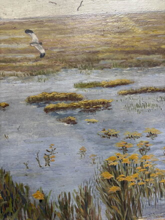 ČEJKY – PTÁCI NAD VODOU - WURZINGER