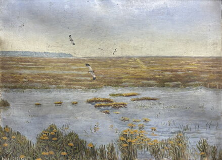 ČEJKY – PTÁCI NAD VODOU - WURZINGER