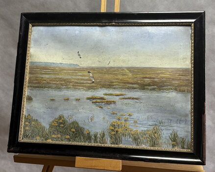 ČEJKY – PTÁCI NAD VODOU - WURZINGER