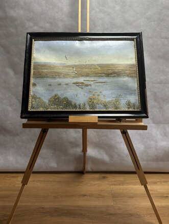 ČEJKY – PTÁCI NAD VODOU - WURZINGER