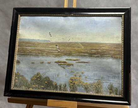 ČEJKY – PTÁCI NAD VODOU - WURZINGER