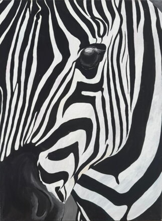 ZEBRA - PRUHY V POHYBU - NEZNÁMÝ AUTOR