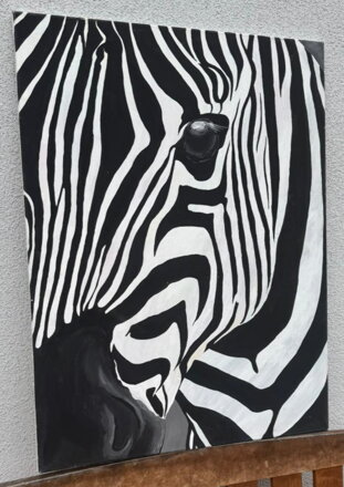 ZEBRA - PRUHY V POHYBU - NEZNÁMÝ AUTOR