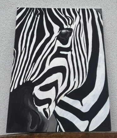 ZEBRA - PRUHY V POHYBU - NEZNÁMÝ AUTOR