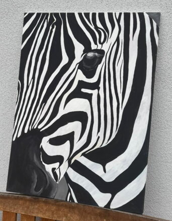 ZEBRA - PRUHY V POHYBU - NEZNÁMÝ AUTOR