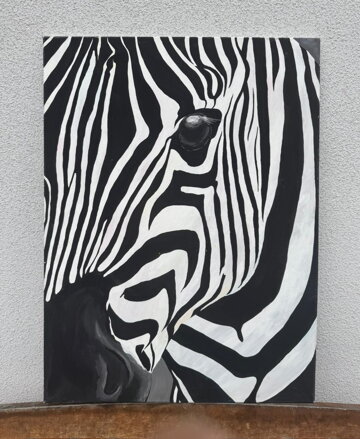 ZEBRA - PRUHY V POHYBU - NEZNÁMÝ AUTOR