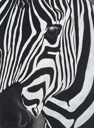 ZEBRA - PRUHY V POHYBU - NEZNÁMÝ AUTOR